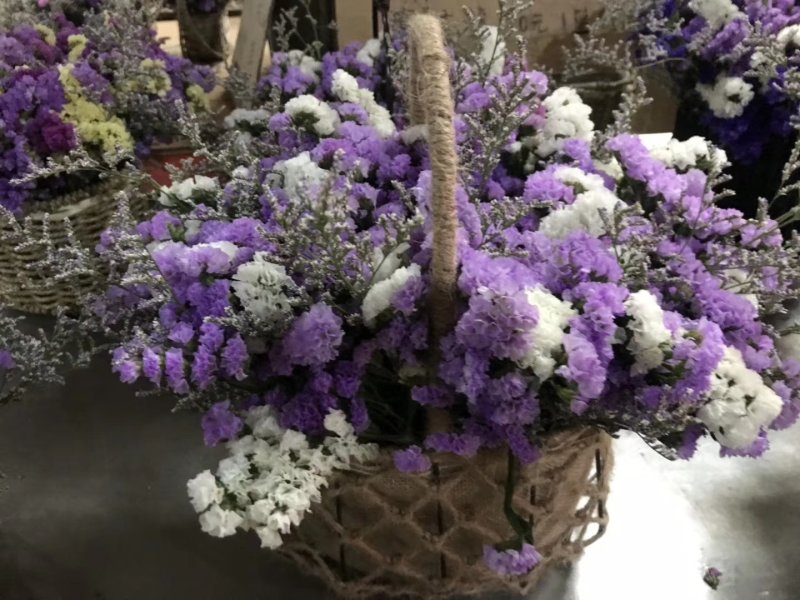 干花勿忘我水晶草情人草