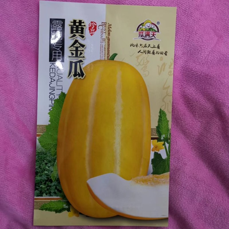 黄皮甜瓜种子十棱黄金瓜种子厚皮甜瓜种子黄香瓜种子5克