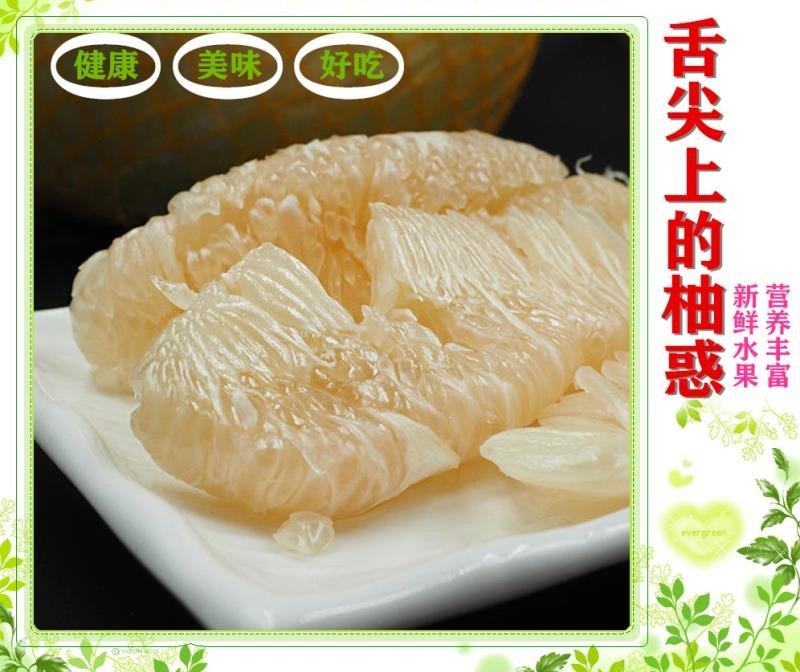 广西容县正宗沙田柚苗大苗杯苗