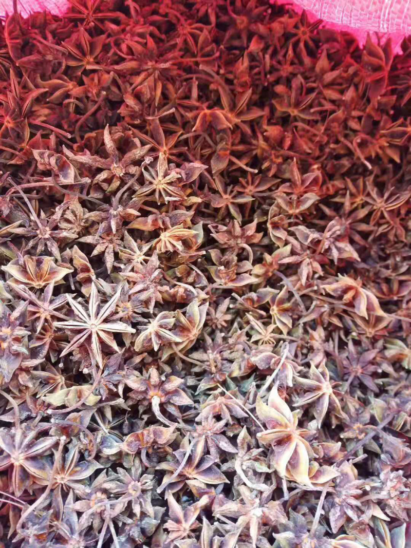 大红八角干枝一级果无硫足干成色好产地货源
