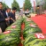 金品甜王西瓜种子高品质甜王西瓜品种高糖口感甜脆爽皮薄坚韧