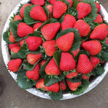 重庆红颜草莓，超市，市场，电商直供，巧克力草莓