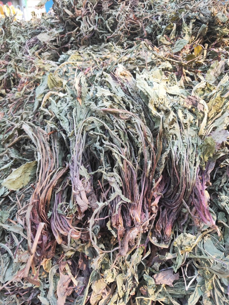 干蒲公英整颗晒干批发农家2019年新晒