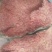 野生薯莨