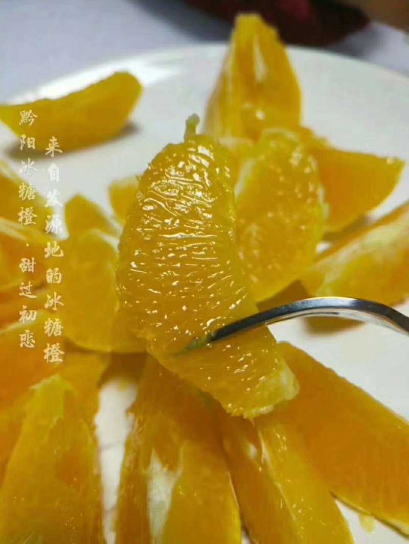 黔阳冰糖橙