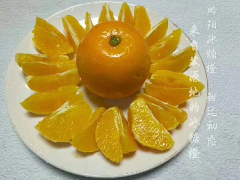 黔阳冰糖橙