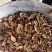 中药材金樱子肉去籽正品