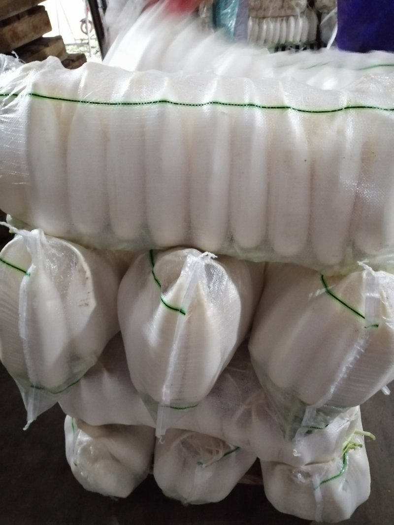 白萝卜