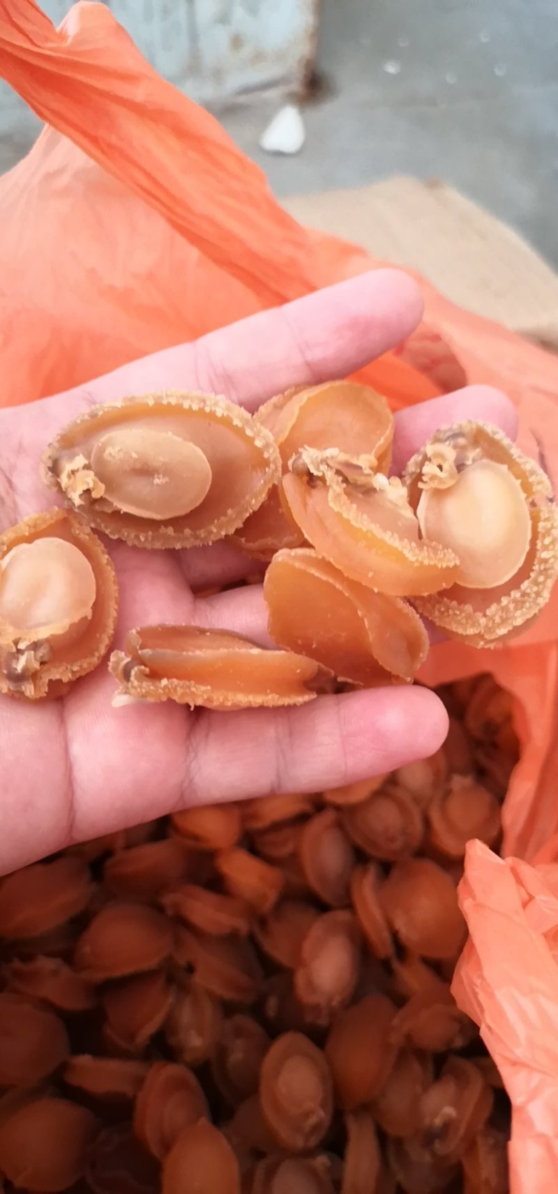 鲍鱼干