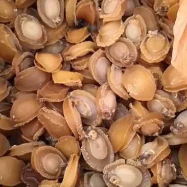 鲍鱼干