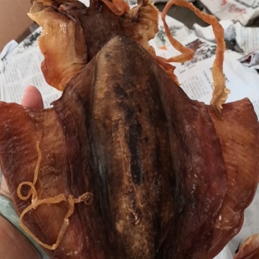 墨鱼干