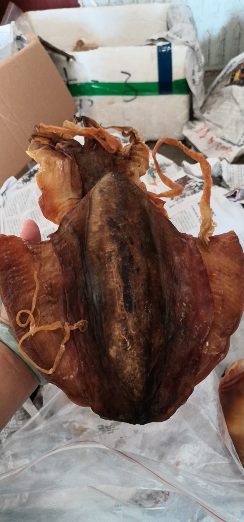 墨鱼干