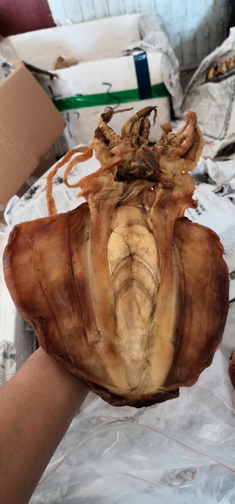 墨鱼干