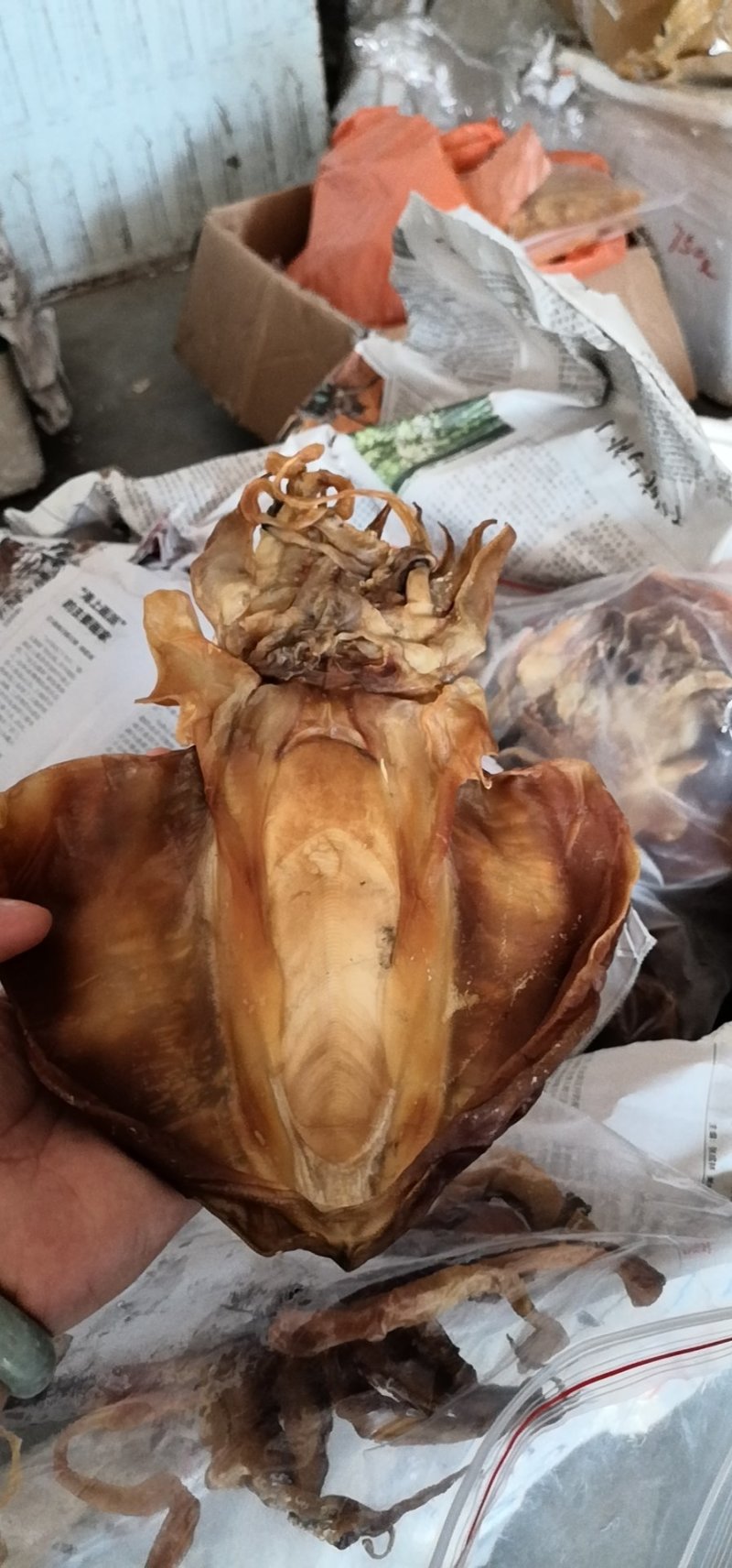 墨鱼干