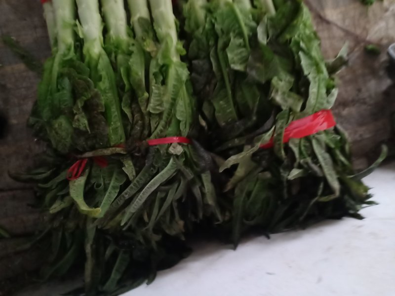 莴笋，青皮莴笋，货源充足，产地直供，一手货源。