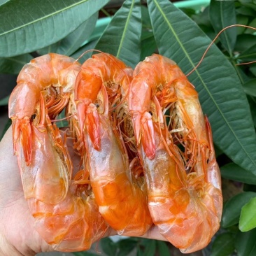 烤虾干
