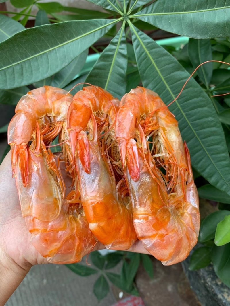 烤虾干
