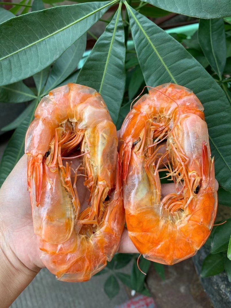烤虾干
