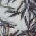 大量孵化优质加州鲈鱼苗抗病力强包驯化出售