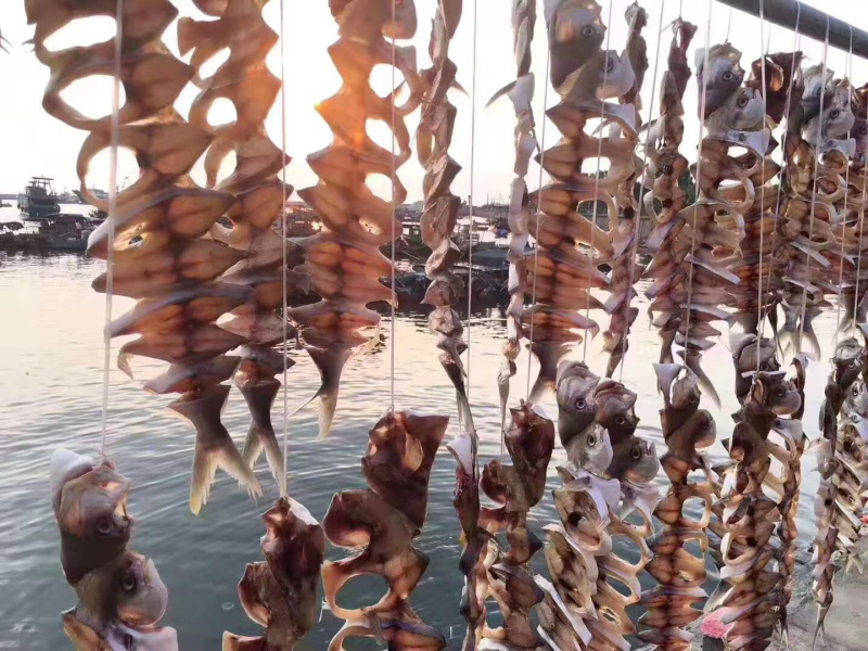 (一件代发)鲳鱼深海天然金鲳鱼干(全国包邮)