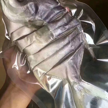 (一件代发)鲳鱼深海天然金鲳鱼干(全国包邮)