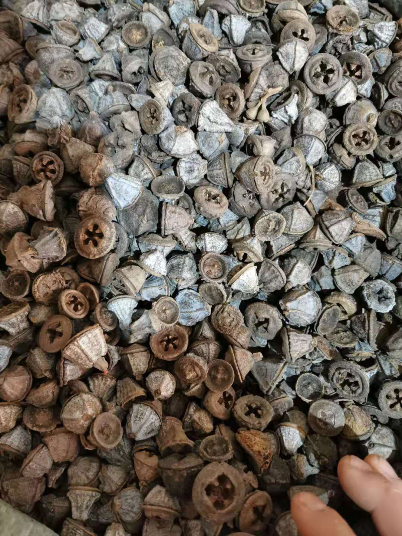 香料一口钟无硫无杂质不包邮