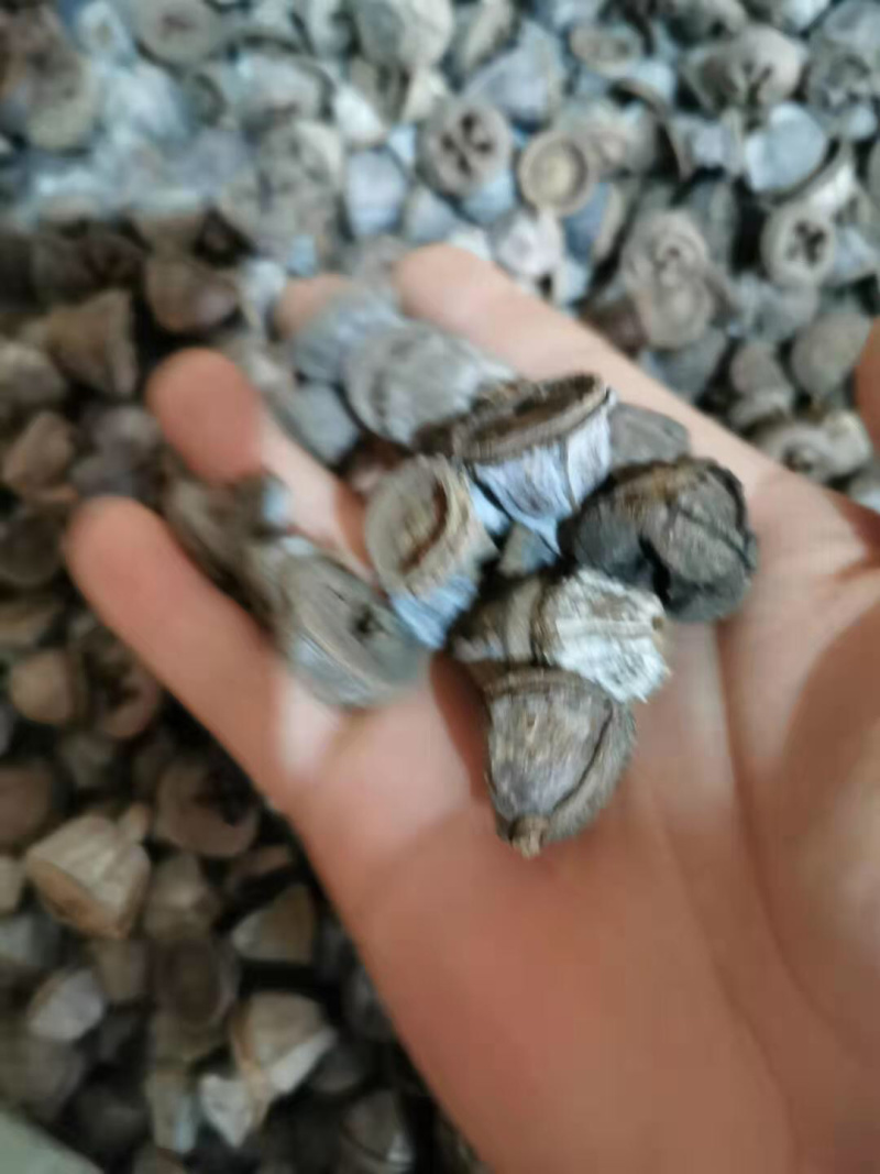 香料一口钟无硫无杂质不包邮