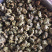 桑叶泡茶正品不杂质量大从优