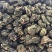 桑叶泡茶正品不杂质量大从优
