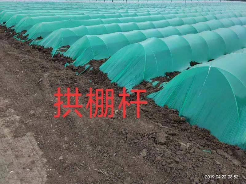 拱棚杆农用骨架支架支撑杆玻璃纤维杆小拱棚拱杆