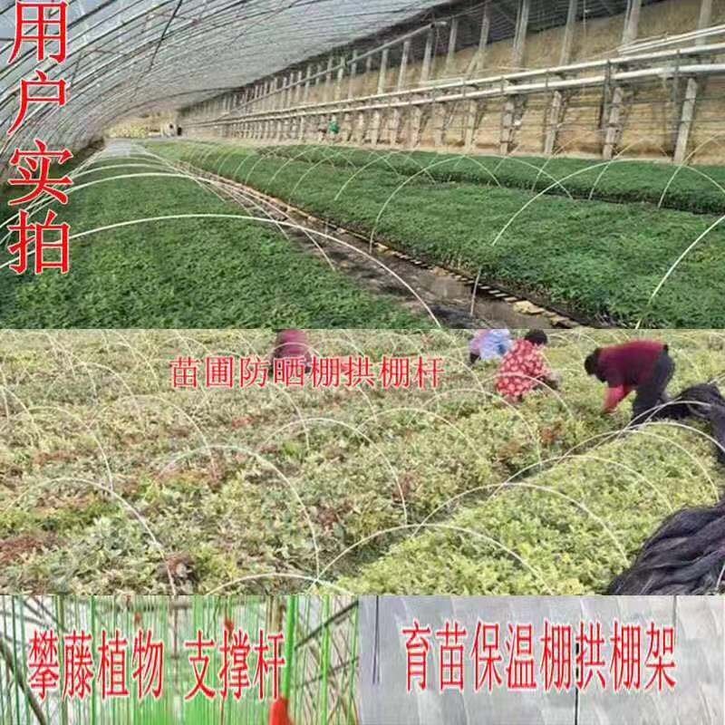 拱棚杆农用骨架支架支撑杆玻璃纤维杆小拱棚拱杆