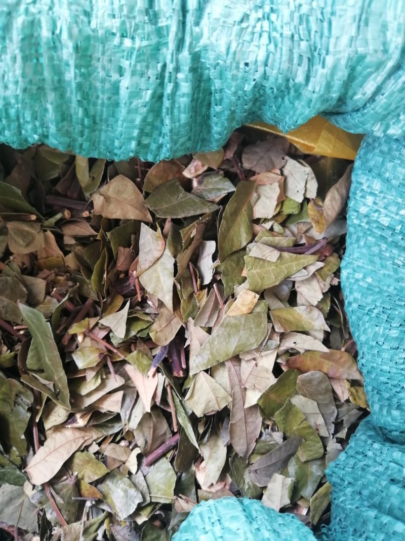 猴耳环（原料）