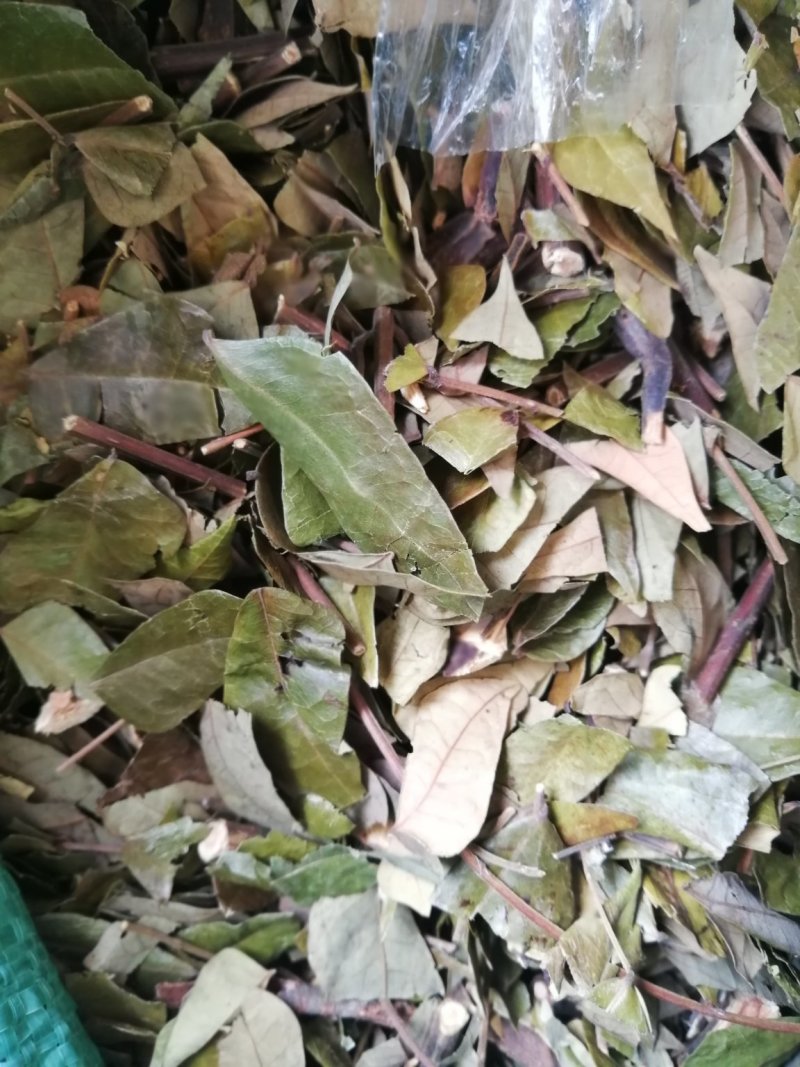 猴耳环（原料）