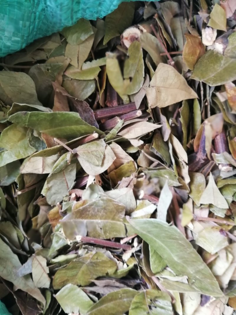 猴耳环（原料）