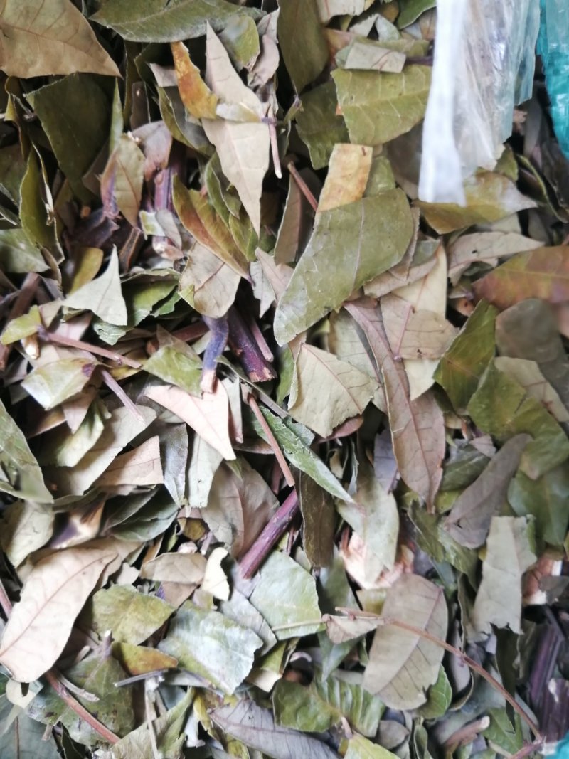 猴耳环（原料）