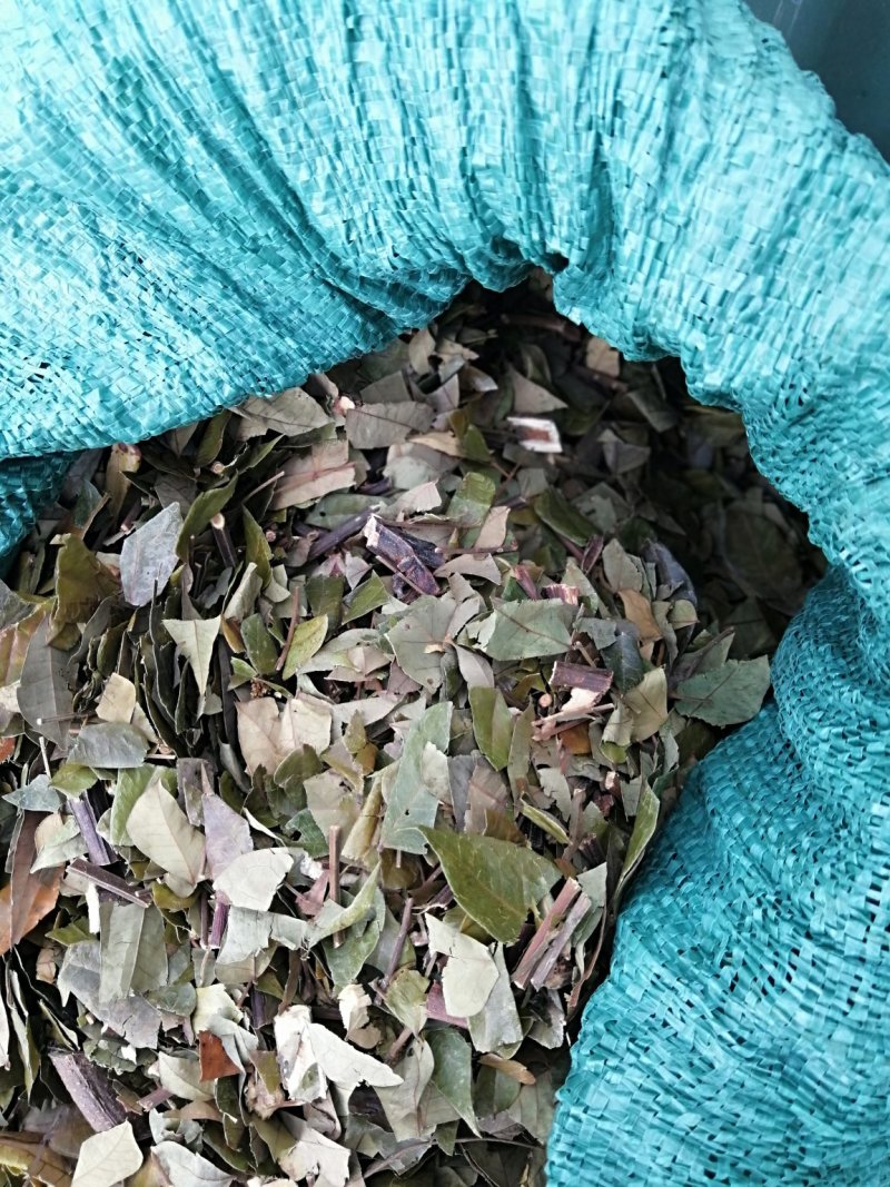 猴耳环（原料）