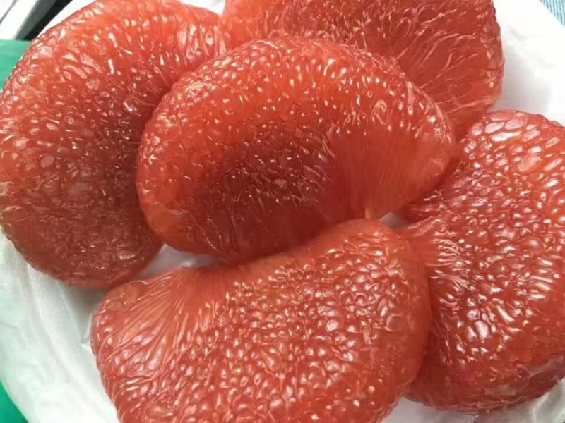 特价热卖包邮泰国青皮柚苗泰国红宝石青柚苗