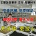 四季青草坪种子进口草坪种子四季常青，耐寒耐踏草坪种