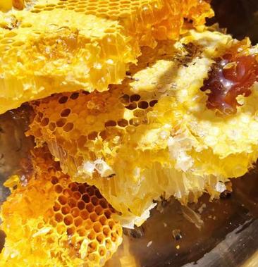 云南高原原生态土蜂蜜野生蜂蜜