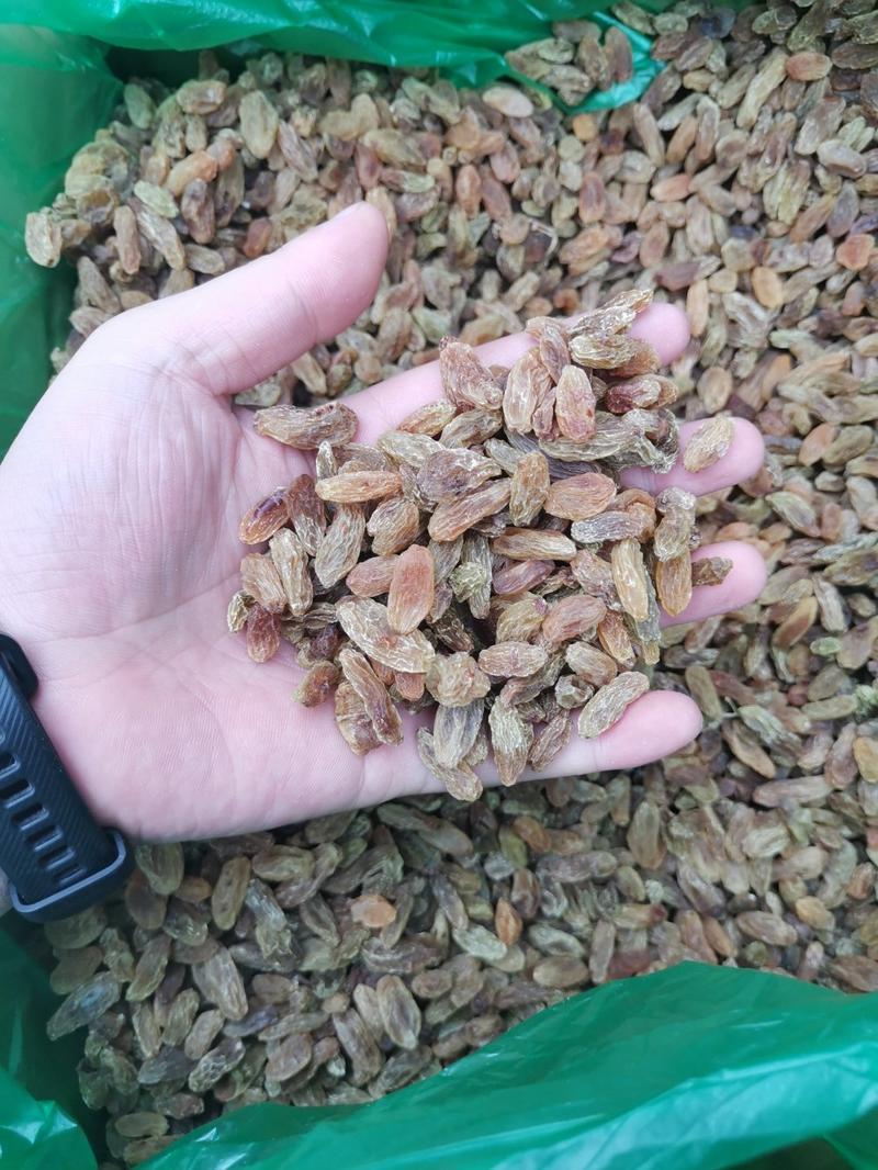 新疆吐鲁番精品葡萄干20斤一件