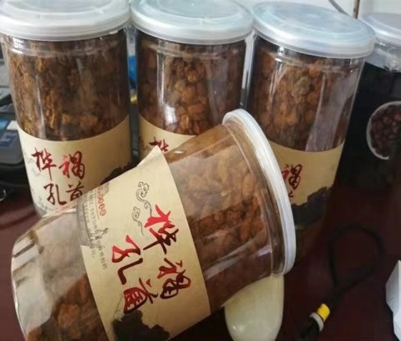 白桦茸表面黑金多(长白山地区、未提纯)