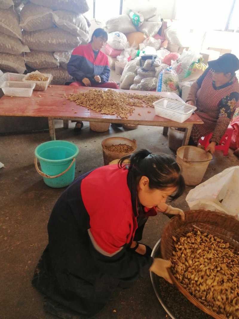 云南核桃仁