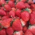 红颜，奶油草莓🍓
