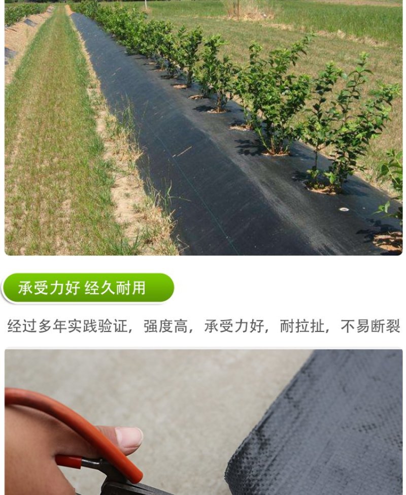 防草布除草布地布抗老化园艺地布抑草布大棚果园防草布膜黑色