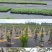 防草布除草布地布抗老化园艺地布抑草布大棚果园防草布膜黑色