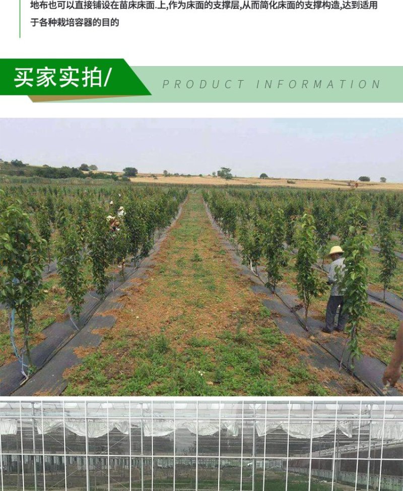 防草布除草布地布抗老化园艺地布抑草布大棚果园防草布膜黑色