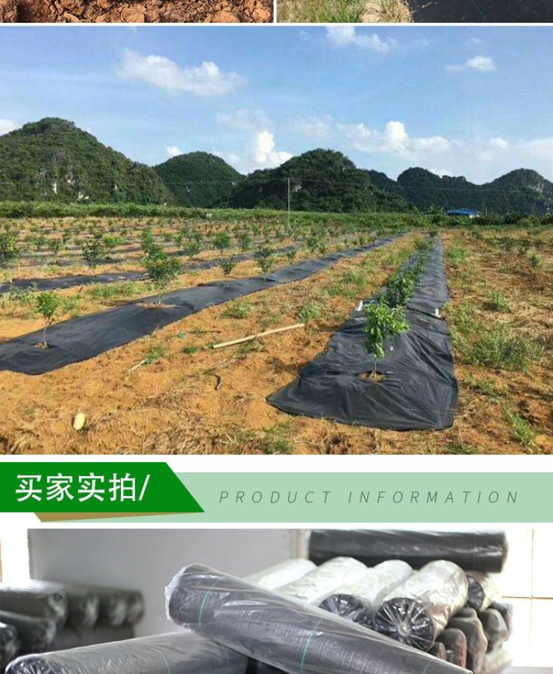 防草布除草布地布抗老化园艺地布抑草布大棚果园防草布膜黑色