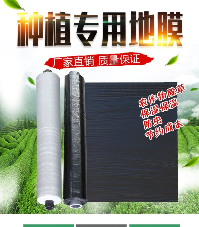 农用黑色除草地膜白色保温保湿地膜工程用膜厂家直销欢迎选购