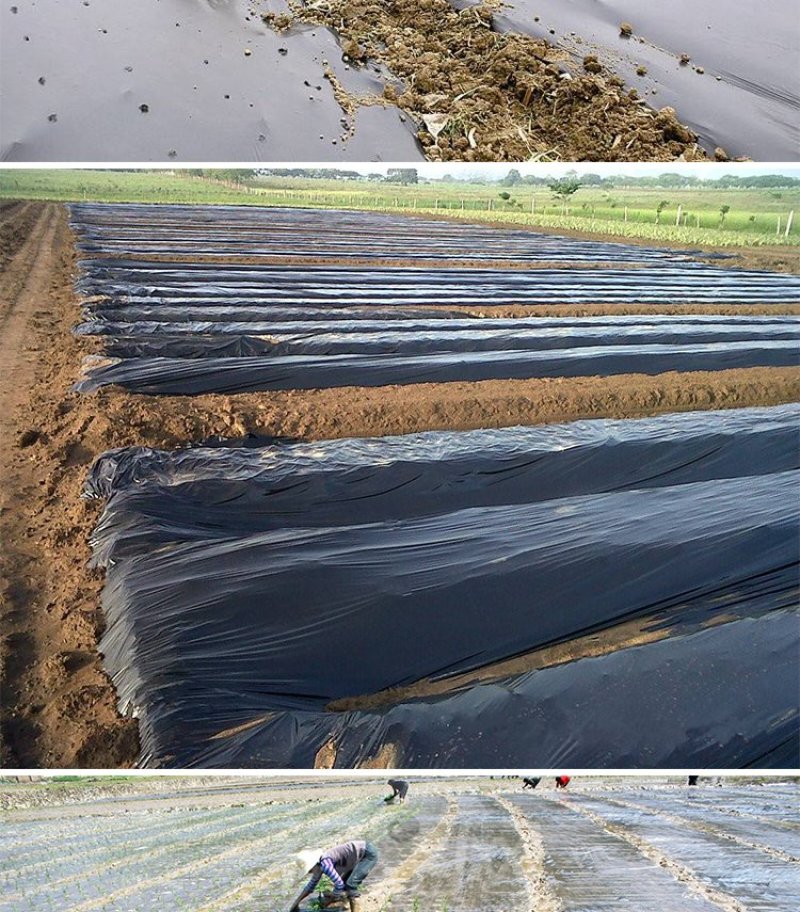 农用黑色除草地膜白色保温保湿地膜工程用膜厂家直销欢迎选购