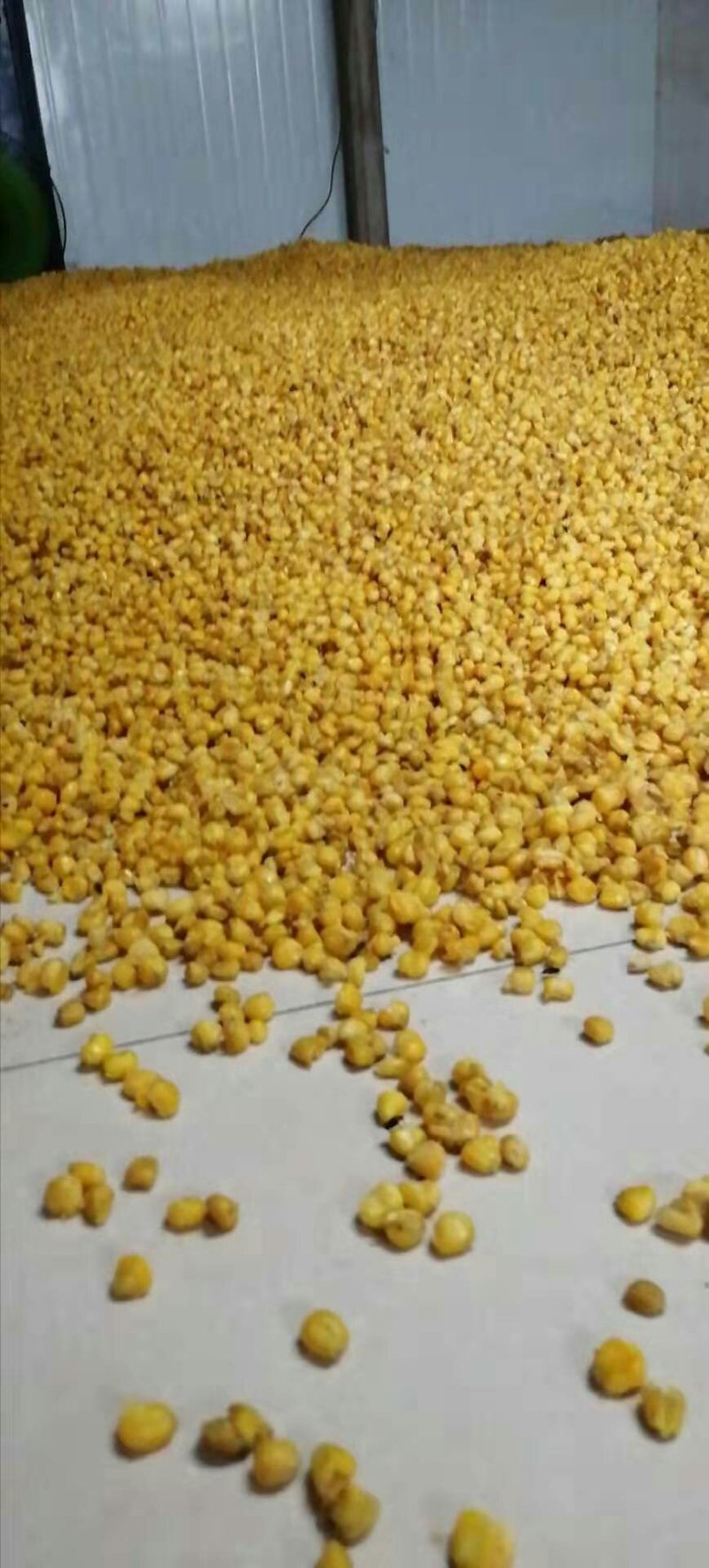 【有好货样品】纯粮包谷酒，祖传百年酒坊